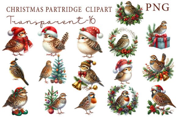Christmas Partridge Clipart & Illustrations
